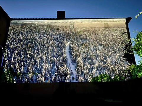 On The Walls 2026 Documentary Film Festival