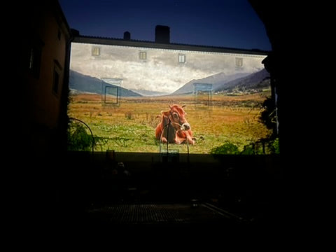 On The Walls 2026 Documentary Film Festival