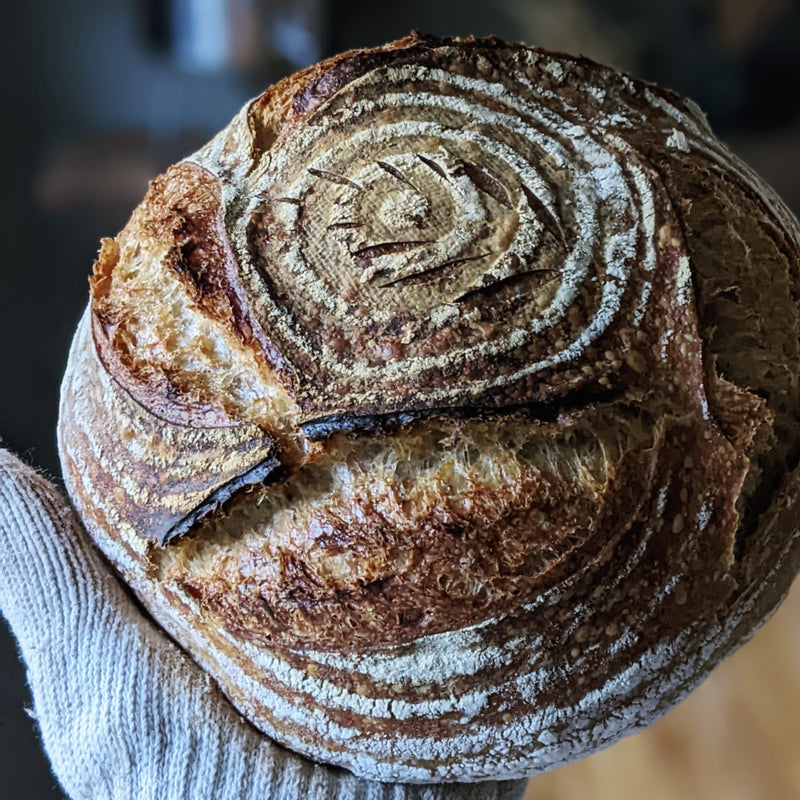 Retraite de pâtisserie toscane de The White Cottage Bakery (octobre 2024)