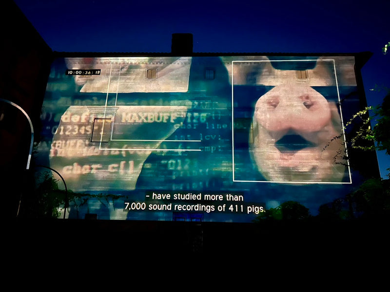 On The Walls 2026 Documentary Film Festival