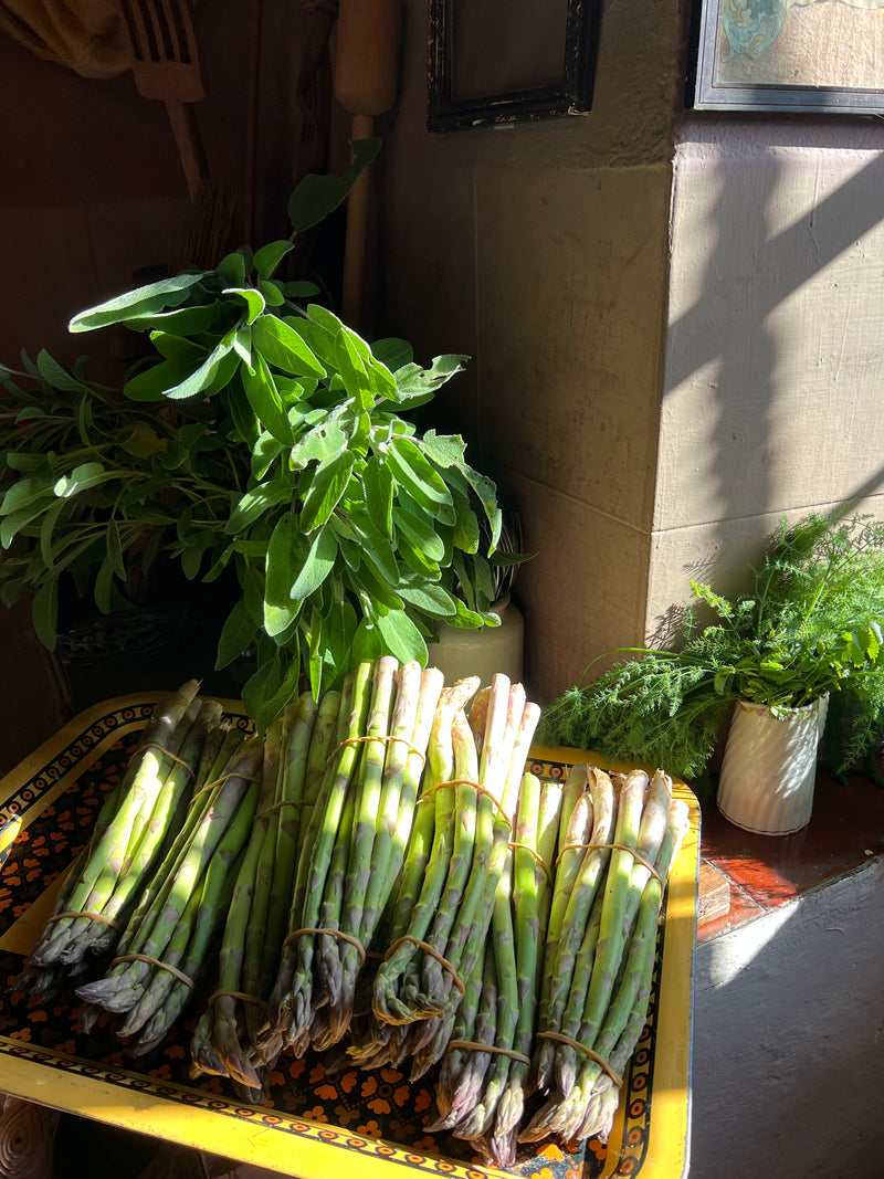 Cucina Povera V: A Hands-On Culinary Weekend November 2025