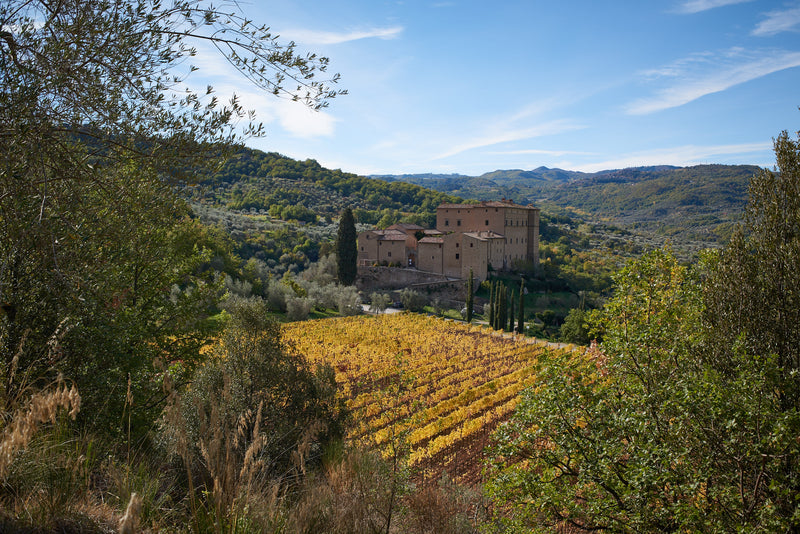 Watercolour Making Course with Karen Bergman