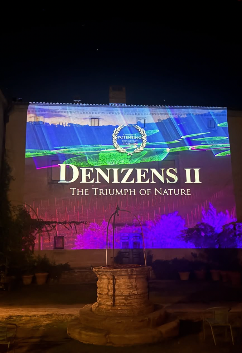 On The Walls 2026 Documentary Film Festival