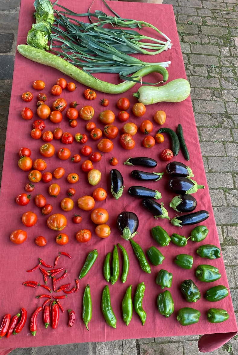 Watercolour Making Course with Karen Bergman