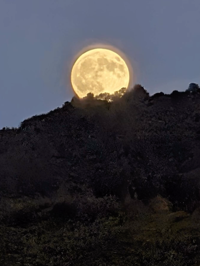 Solstice Savory Pies Foodie Autumn Retreat with Marnie Coots (Co-ed Retreat)