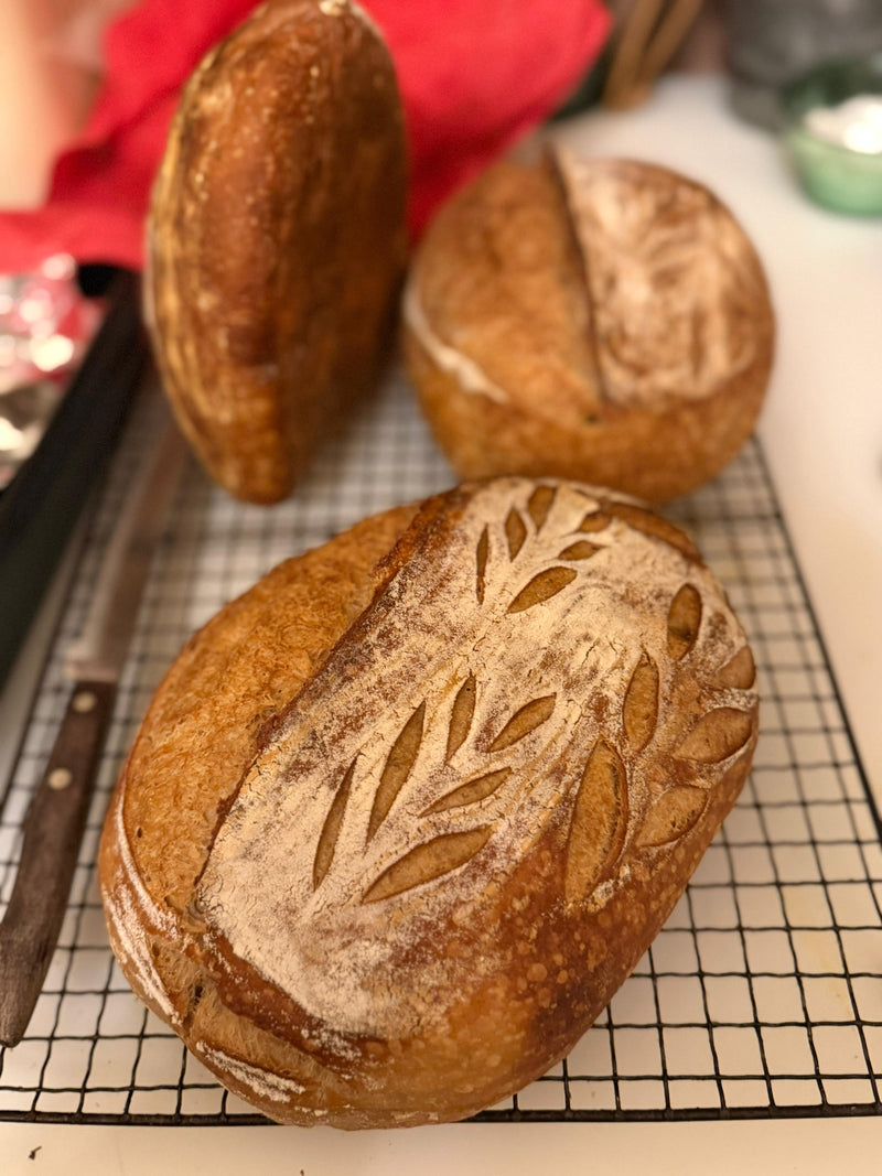 Il Tuscan Baking Retreat di The White Cottage Bakery (ottobre 2024)